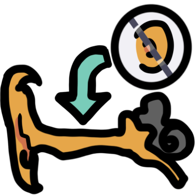 a simple diagram of an ear. the outer and middle ear are yellow, and the inmer ear is dark grey. an arrow points to the outer and middle ear from a circle. in the circle is a partly crossed out yellow ear.